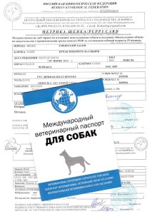 dog-document